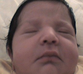 Laila