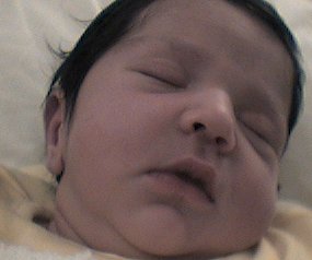 Laila
