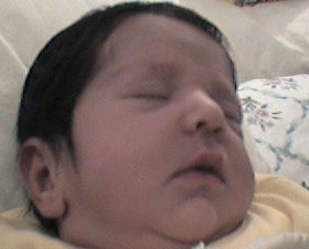 Laila