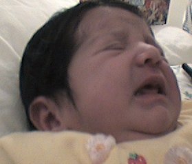 Laila